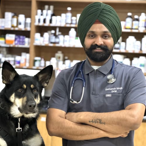 Dr. Damanvir Singh, Ceres Veterinarian